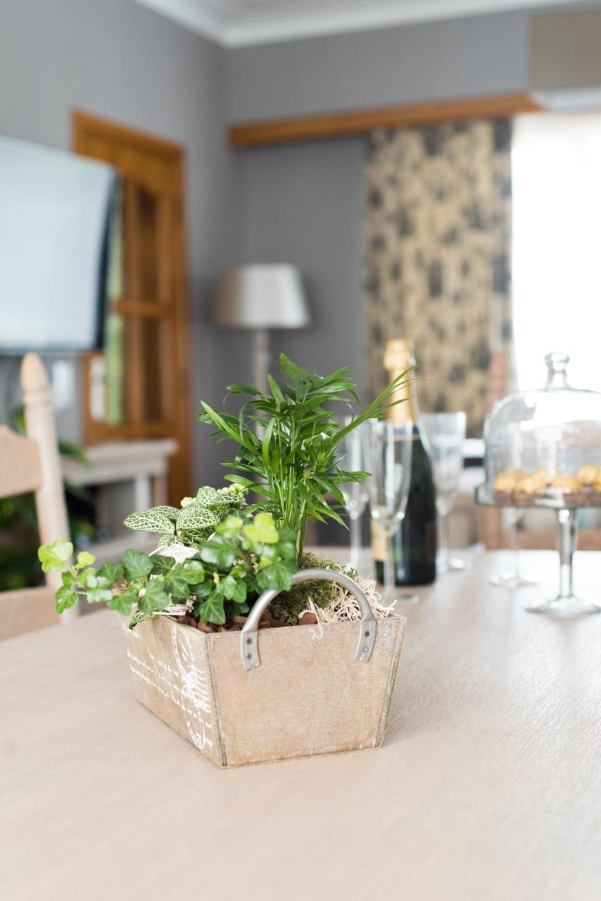 Lovely Guesthouse Lier Lint 外观 照片